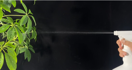 1691052950302192.png